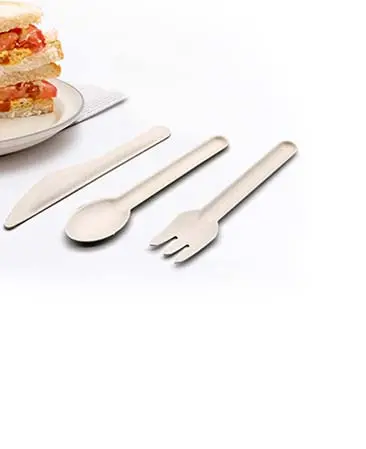 Stoviglie CPLA