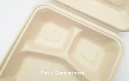 Scatola a conchiglia monouso a base vegetale biodegradabile sostenibile da 9 pollici 3 Comp