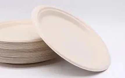 Piastra ovale in fibra di bagassa usa e getta compostabile