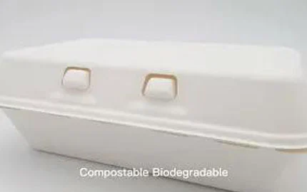 Bagassa monouso Biodegradabile 900ml Contenitore a conchiglia LZ-0188