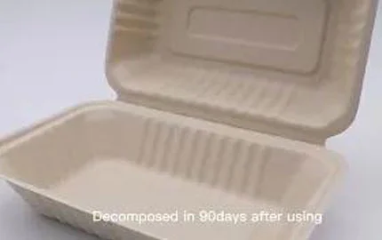 Scatola monouso a conchiglia da 900ml in fibra di bagassa biodegradabile sostenibile