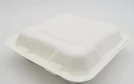 Scatola da asporto in fibra ecologica da 8 pollici a conchiglia