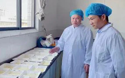 Video in diretta della base di produzione 3-1