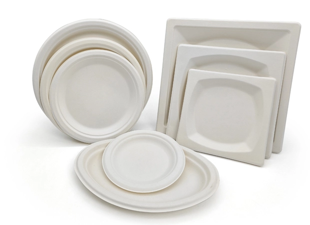 Piastra compostabile