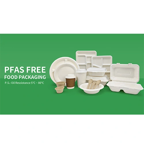 Enviro-Pack: svelare il regno verdeggiante dei contenitori da asporto biodegradabili all'ingrosso Enviro-Pack: svelare il regno verdeggiante dei contenitori da asporto biodegradabili all'ingrosso