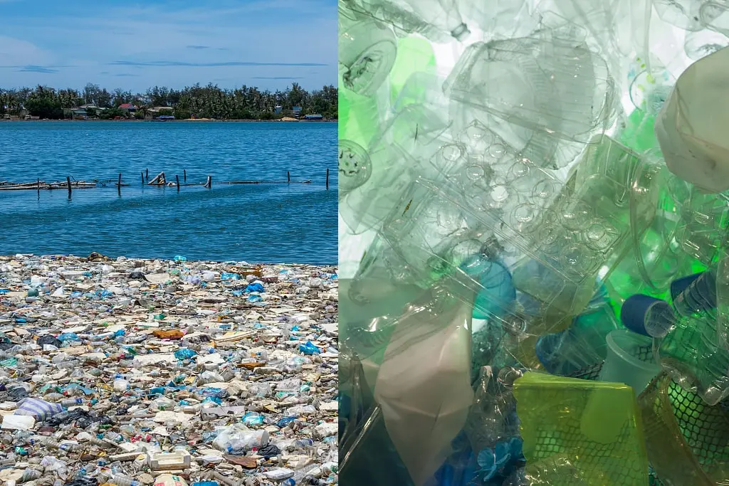 Eleganza eco-cosciente: il racconto dei piatti in plastica e la ascesa della bagassa Eleganza eco-cosciente: il racconto dei piatti in plastica e la ascesa della bagassa
