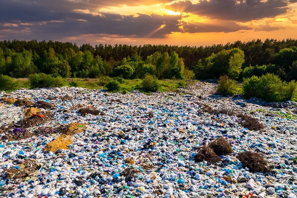 Prendere posizione per l'ambiente: dire no alla plastica e abbracciare la sostenibilità Prendere posizione per l'ambiente: dire no alla plastica e abbracciare la sostenibilità
