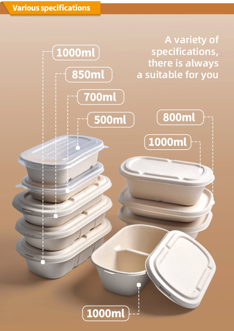 Ecologicamente illuminato: svelare il mondo all'ingrosso dei contenitori per alimenti biodegradabili Ecologicamente illuminato: svelare il mondo all'ingrosso dei contenitori per alimenti biodegradabili